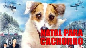 A Doggone Christmas
