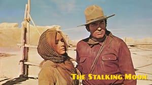 The Stalking Moon