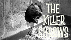 The Killer Shrews