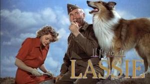 Son of Lassie