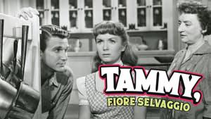 Tammy and the Bachelor