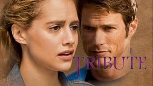 Nora Roberts' Tribute