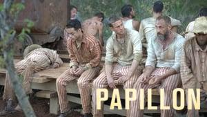 Papillon