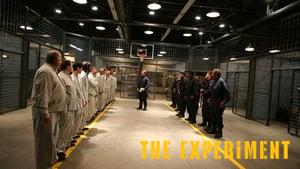 The Experiment