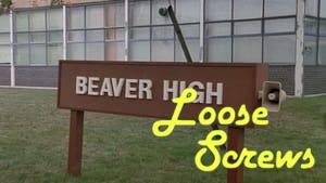 Loose Screws