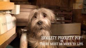 Higglety Pigglety Pop! or There Must Be More to Life