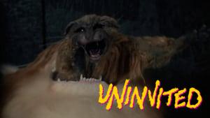 Uninvited