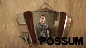 Possum