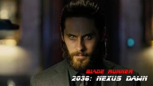 2036: Nexus Dawn