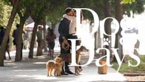 Dog Days