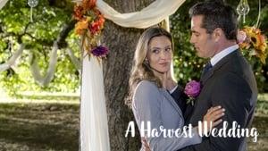 A Harvest Wedding