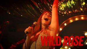 Wild Rose