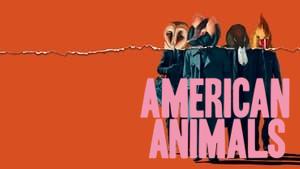 American Animals