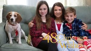 48 Christmas Wishes