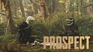 Prospect