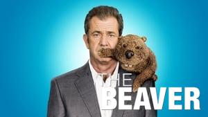 The Beaver