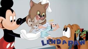 Lend a Paw