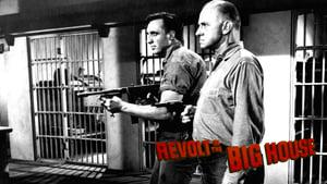 Revolt in the Big House