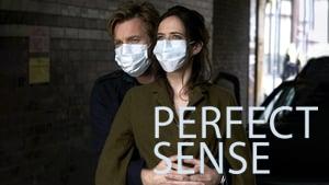 Perfect Sense