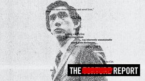The Report