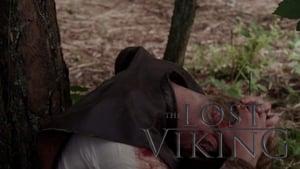 The Lost Viking