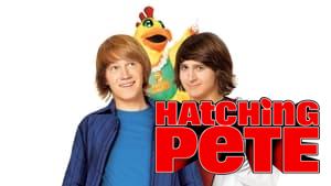 Hatching Pete