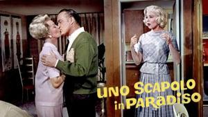 Bachelor in Paradise