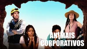Corporate Animals