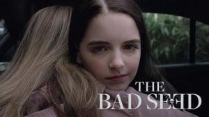 The Bad Seed