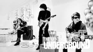 The Velvet Underground