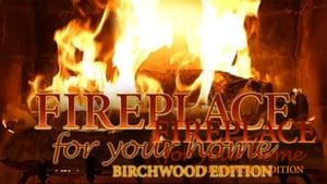 Fireplace for Your Home: Birchwood Edition