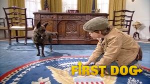 First Dog