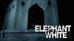 Elephant White