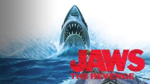 Jaws: The Revenge