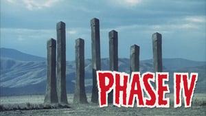 Phase IV