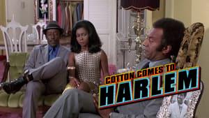 Cotton Comes to Harlem