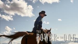 The Power of the Dog