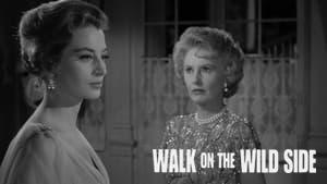 Walk on the Wild Side