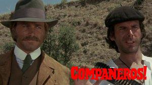 Compañeros