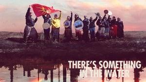 There's Something in the Water