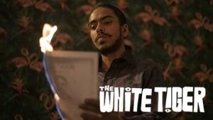 The White Tiger
