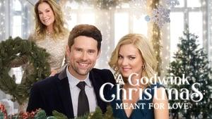 A Godwink Christmas: Meant For Love