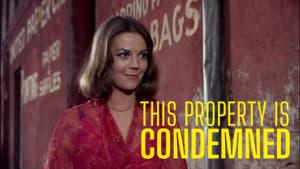 This Property Is Condemned