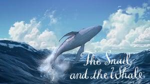 The Snail and the Whale