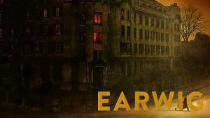 Earwig