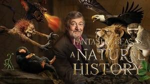 Fantastic Beasts: A Natural History