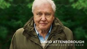 David Attenborough: A Life on Our Planet