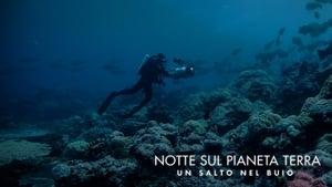 Night on Earth: Shot in the Dark