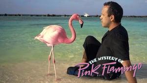 The Mystery of the Pink Flamingo