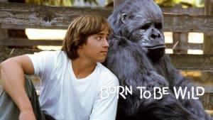 Born to Be Wild